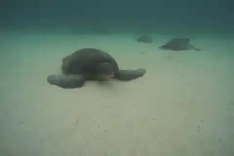 Tour di un'intera giornata a San Cristobal 360 alle Galapagos