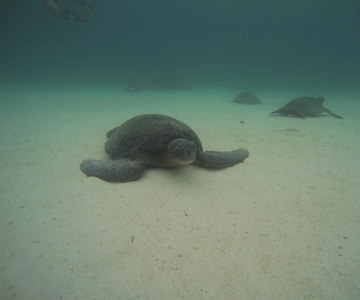 San Cristobal 360 in Galapagos full-day tour