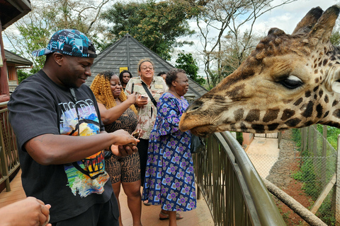 Nairobi: Elefantenwaisenhaus und Giraffenzentrum Tour