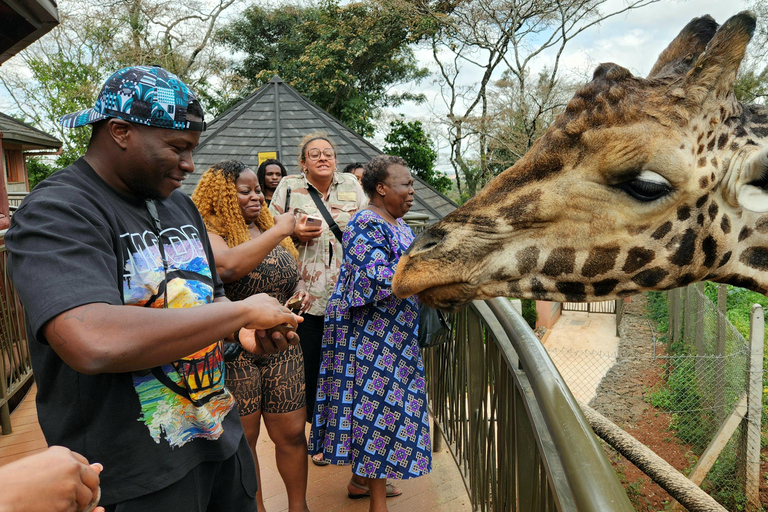 Nairobi: Elefantenwaisenhaus und Giraffenzentrum Tour