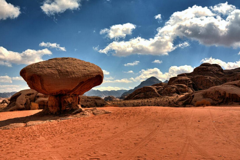 Wadi Rum: Half-day 4x4 Tour with Sandboarding and Canyons