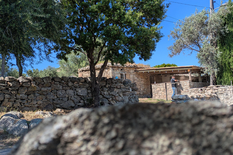 Korsika: Verkostung von Bio-WeinenKorsika: Bio-Weinverkostung