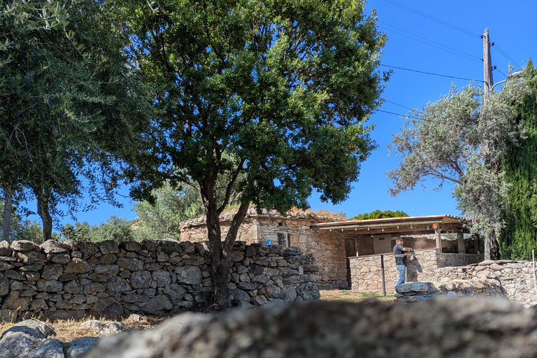 Korsika: Verkostung von Bio-WeinenKorsika: Bio-Weinverkostung