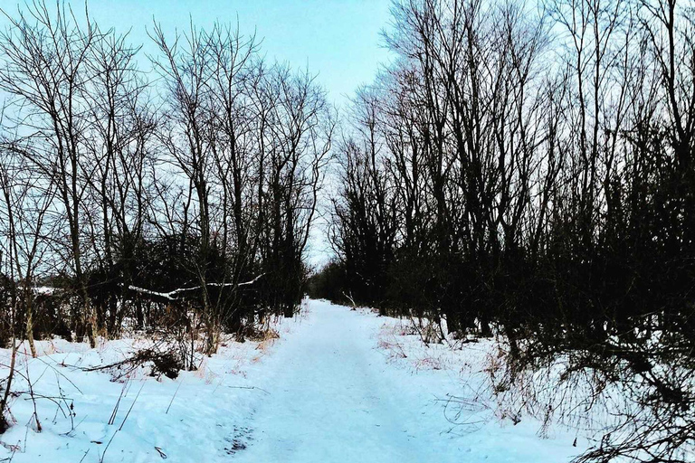 Toronto: Winter Hike to Rattlesnake Point and Crawford Lake