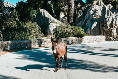 Tour de Majorque : Sa Calobra, Torrent de Pareis et Cala Tuent