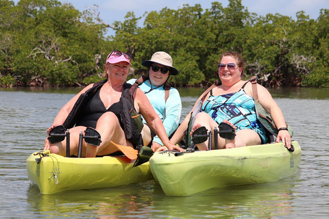 From Naples, FL: Marco Island Mangroves Kayak or Paddle Tour Easy Ride Pedal Kayak Tour