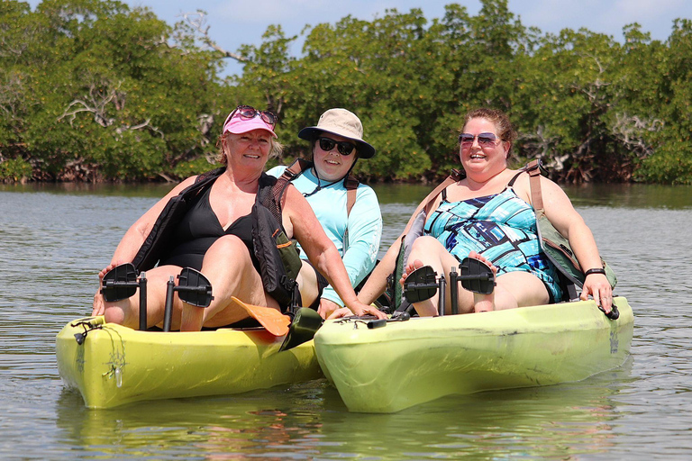From Naples, FL: Marco Island Mangroves Kayak or Paddle Tour Easy Ride Pedal Kayak Tour