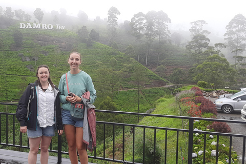 2 Day Tour From Kandy, Sigiriya &amp; Nuwara Eliya2 Day Tour By AC Mini Van