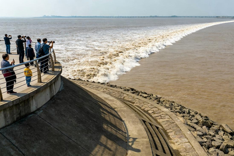 Hangzhou Qiantang River Tidal Bore Tour Yanguan — The Classic Single-Line Tide