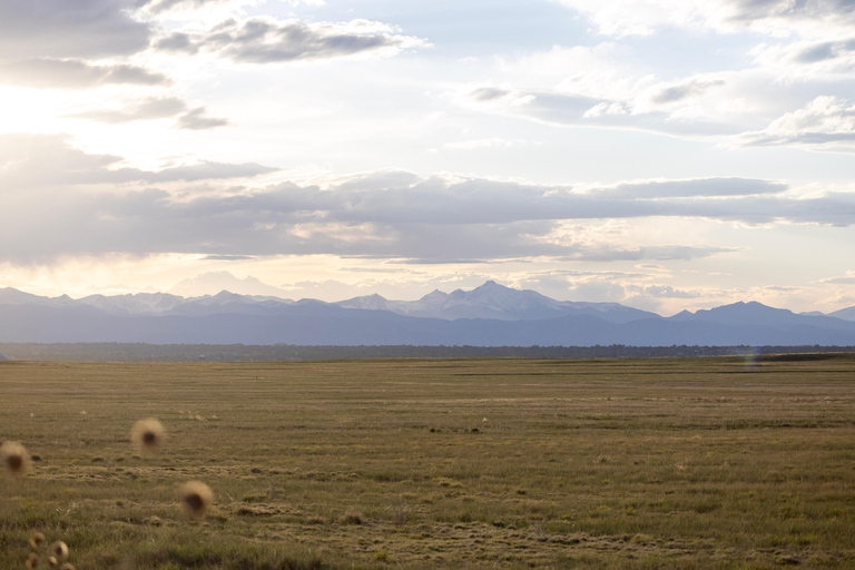 Safari dans le Rocky Mountain ArsenalSafari dans l&#039;Arsenal des Rocheuses
