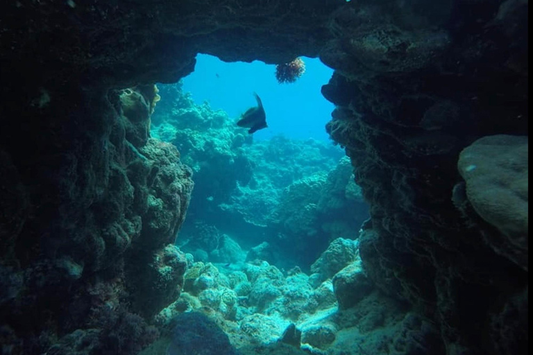 瓦努阿图：海龟与浮潜之旅（含午餐）瓦努阿图：海龟与浮潜之旅，含午餐