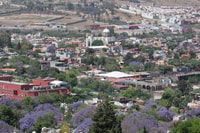 圣米格尔·德·阿伦德（San Miguel de Allende），电动观光之旅 - Housity