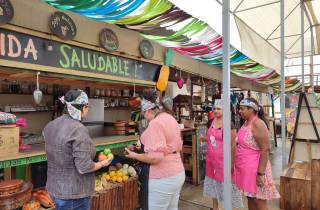San José Stadt : Kochkurs, mexikanische Empanadas und Antojitos