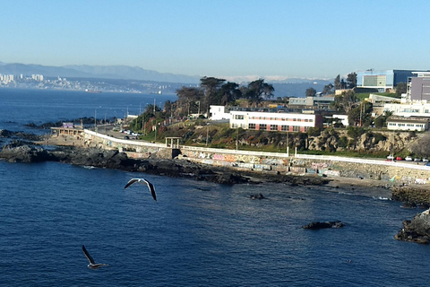 Tour della città sulla costa del Pacifico (3 città in 4 ore)