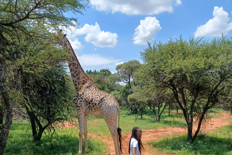 JOHANNESBURG: Przygoda z jazdą konną i quadami