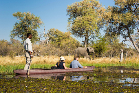 Botsuana: Guía de viaje económico en solitario con anfitrión local