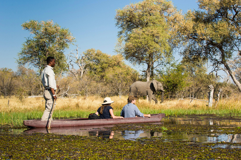 Botsuana: Guía de viaje económico en solitario con anfitrión local