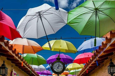 Medellin: Eastern Adventure, Magical Villages, Orchids, and Landscapes