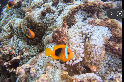 Port Vila: Kayaking & Snorkelling Tour with Turtles & lunch Full Day - Kayaking & Snorkeling Tour with Lunch & Pickup