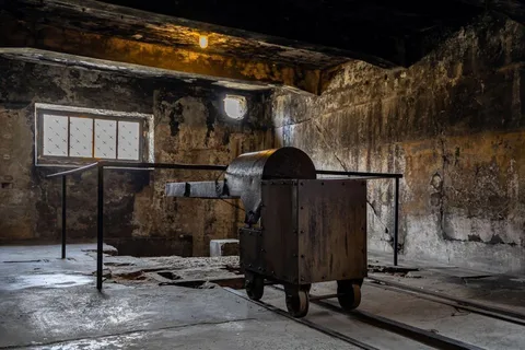 Desde Cracovia: tour de día completo de Auschwitz-Birkenau