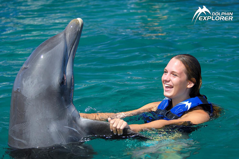 Avventura di nuoto con i delfini a Punta Cana: Esperienza con i delfini di 40 minuti