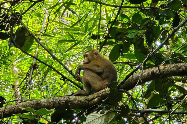 Phuket or Anywhere: 2-Days Cheow Lan Lake & Raft-Resort-FAN Option 1: From KhaoLak+KhaoSok with Roundtrip Hotel Transfer