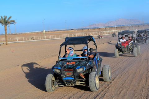 Sharm El-Sheikh: Super Safari, ATV, Stargazing & BBQ Dinner 2 Person Option ( DBL BUGGY )