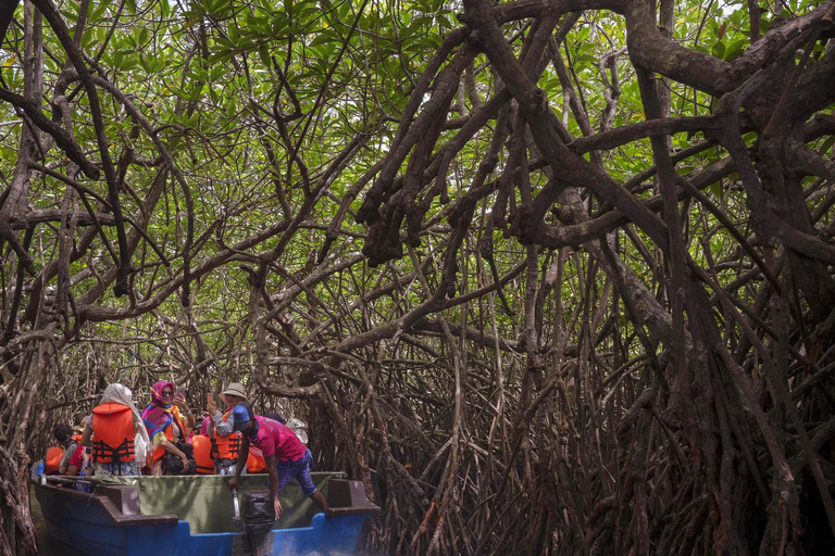 8-Day Sri Lanka Private Tour with Hotels, Train Ride &Safari