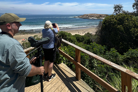 Birdwatching & Penguins from Santiago:Mantagua Wetlands Tour