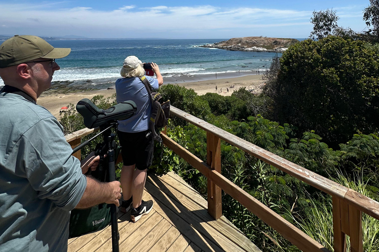 Birdwatching & Penguins from Santiago:Mantagua Wetlands Tour