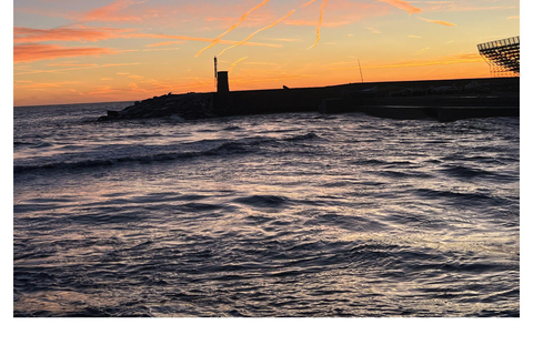 Tour of Genoa and the Ligurian Riviera: From Genoa to Portofino