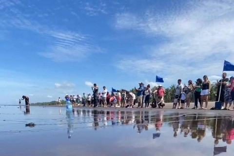 Barra de Santiago: Turtle Release Experience & Beach