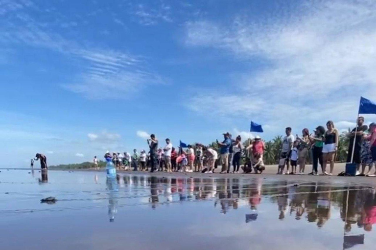 Barra de Santiago: Turtle Release Experience & Beach