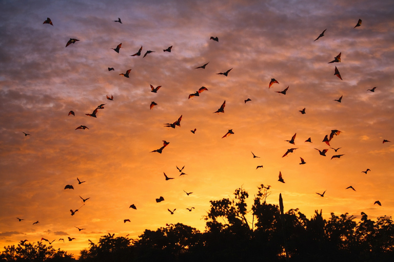 Labuan Bajo: Shared Half-Day Snorkeling & Sunset Trip