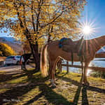 Trento: passeggiata a cavallo sulle tracce degli antichi romani
