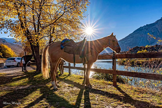Trento: passeggiata a cavallo sulle tracce degli antichi romani