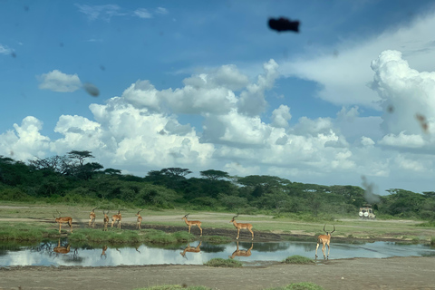 Arusha/Moshi 5 jours de safari en Tanzanie en groupe avec participation à un budget