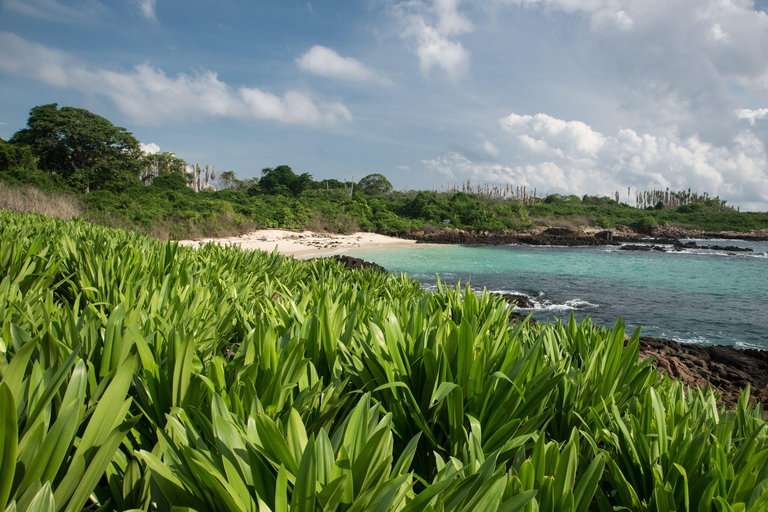 Isla Iguana Full Day Tour