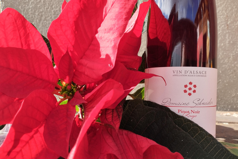 Gertwiller: Food and wine pairing workshop to prepare your Christmas meal!