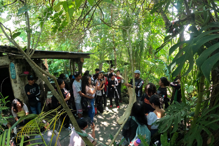 Tzimol, Chiapas: Town Tour, Sugarcane Factory, Magic ForestTour by Tuk-Tuk