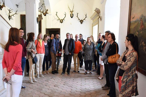 Bratislava: Cerveny Kamen Castle and Wine Tasting Tour