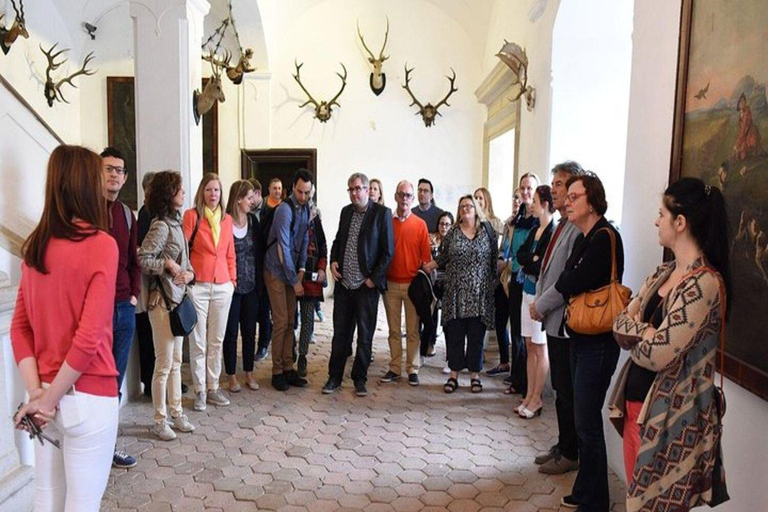Bratislava: Cerveny Kamen Castle and Wine Tasting Tour