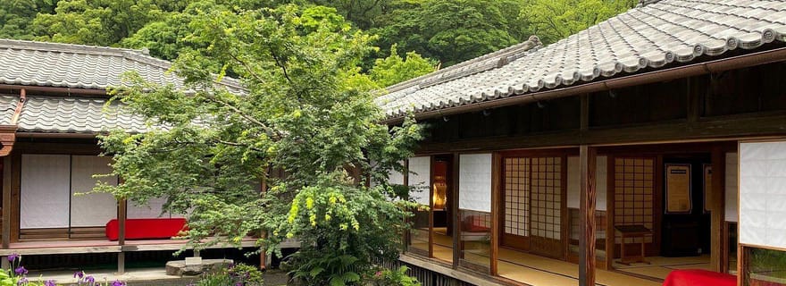 Kagoshima : visite privée guidée pour une immersion dans la nature et les volcans