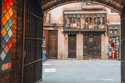 Barcelona: Introduction to the Gothic Quarter Walking Tour Private Tour (Max 20 Adults)