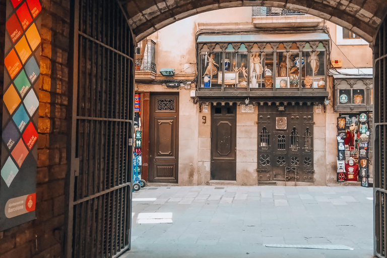 Barcelona: Introduction to the Gothic Quarter Walking Tour Private Tour (Max 20 Adults)