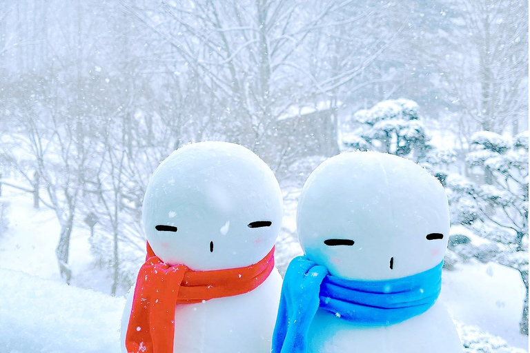 Eobi Ice Valley & Nami & Railbike & Petite & Morning Calm 1. Eobi Ice Valley & Nami Island & Petite France