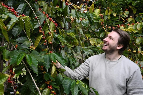 Tour del gusto della montagna di Tamborine