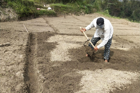 Kathmandu:7 Unesco Touren, Wanderungen, Sonnenaufgang &amp; mehr - Alles in 1Kathmandu: Wanderung Jamacho