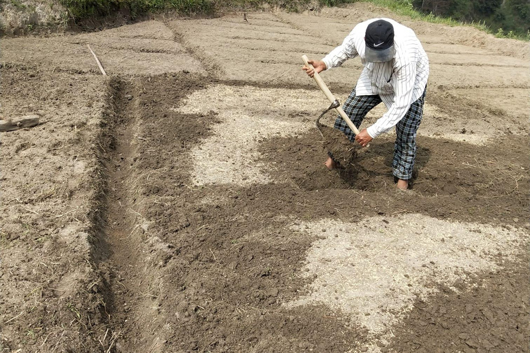 Kathmandu:7 Unesco Touren, Wanderungen, Sonnenaufgang &amp; mehr - Alles in 1Kathmandu: Wanderung Jamacho