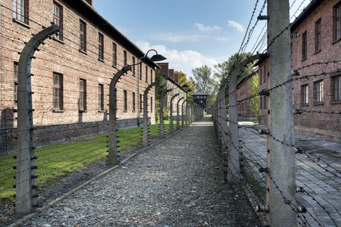 Vanuit Krakau: tour Auschwitz-BirkenauRondleiding in het Engels met Hotel Pickup